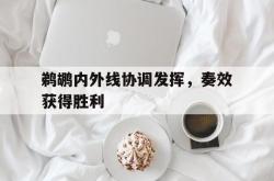 jiannianhui 手机 app-鹈鹕内外线协调发挥，奏效获得胜利
