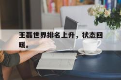 金年会手机app-王磊世界排名上升，状态回暖。