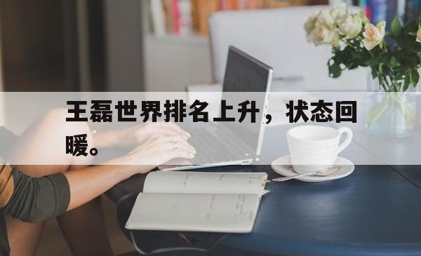 金年会手机app-王磊世界排名上升，状态回暖。