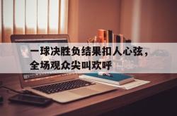 金年会下载官方-一球决胜负结果扣人心弦，全场观众尖叫欢呼