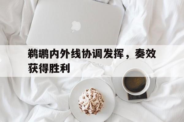 鹈鹕内外线协调发挥，奏效获得胜利